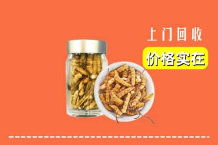 鹤峰县回收散虫草