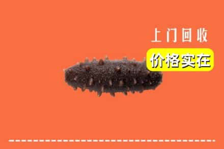 鹤峰县回收海参