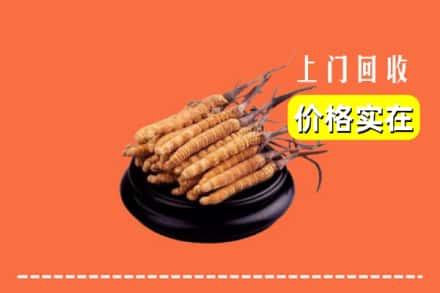 鹤峰县回收冬虫夏草
